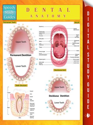 cover image of Dental Anatomy, Volume II